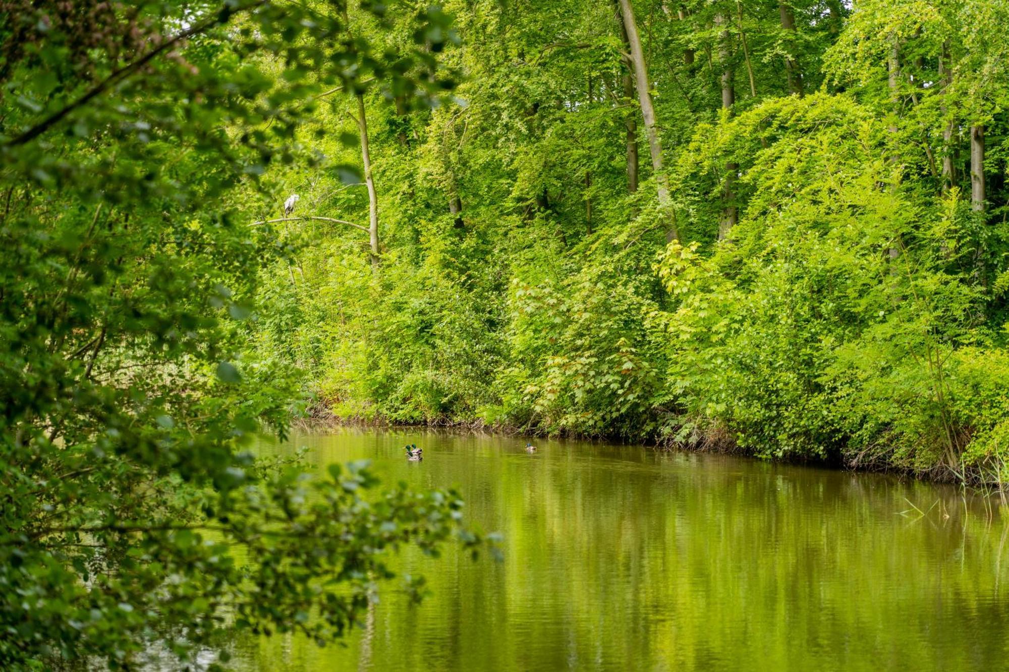 Vakantiehuis Koetshuis Landgoed Iepenoord *
